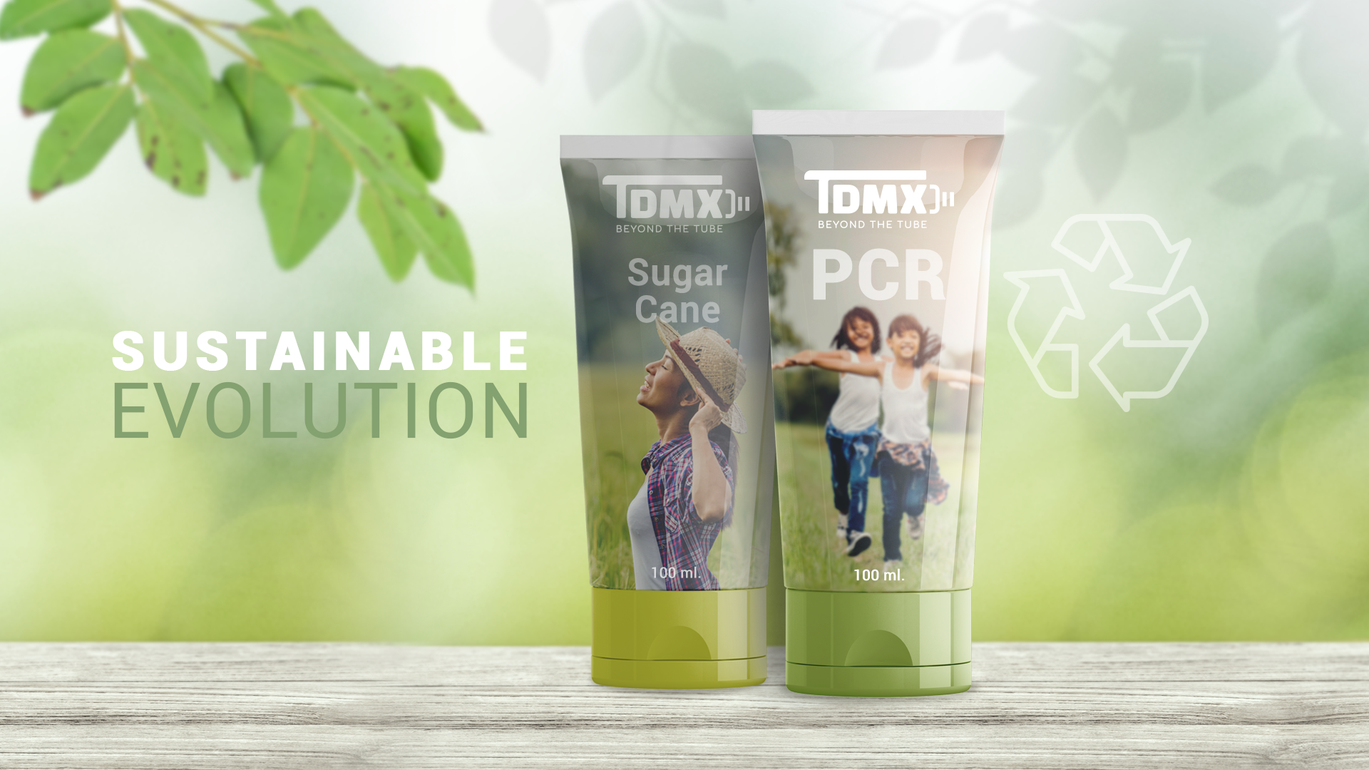 Sustentable evolution